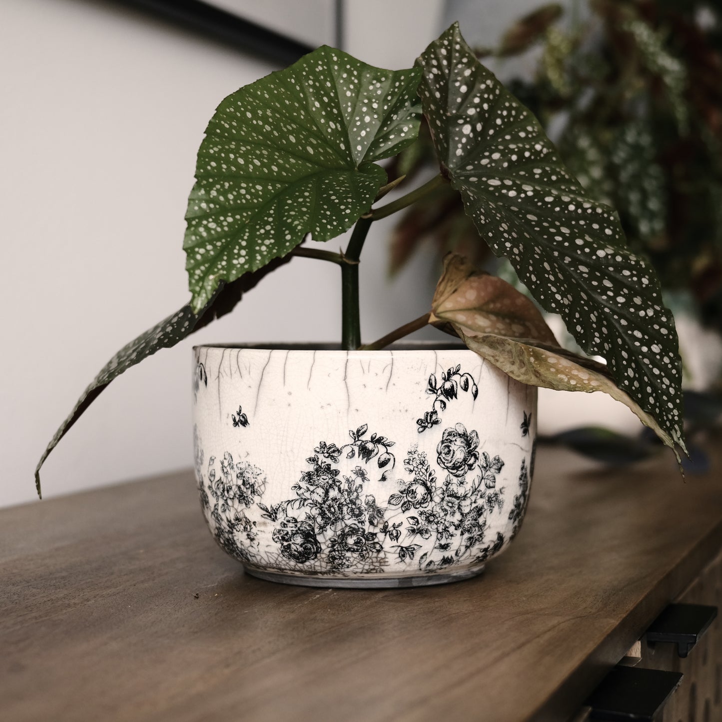 Floral Planter Medium