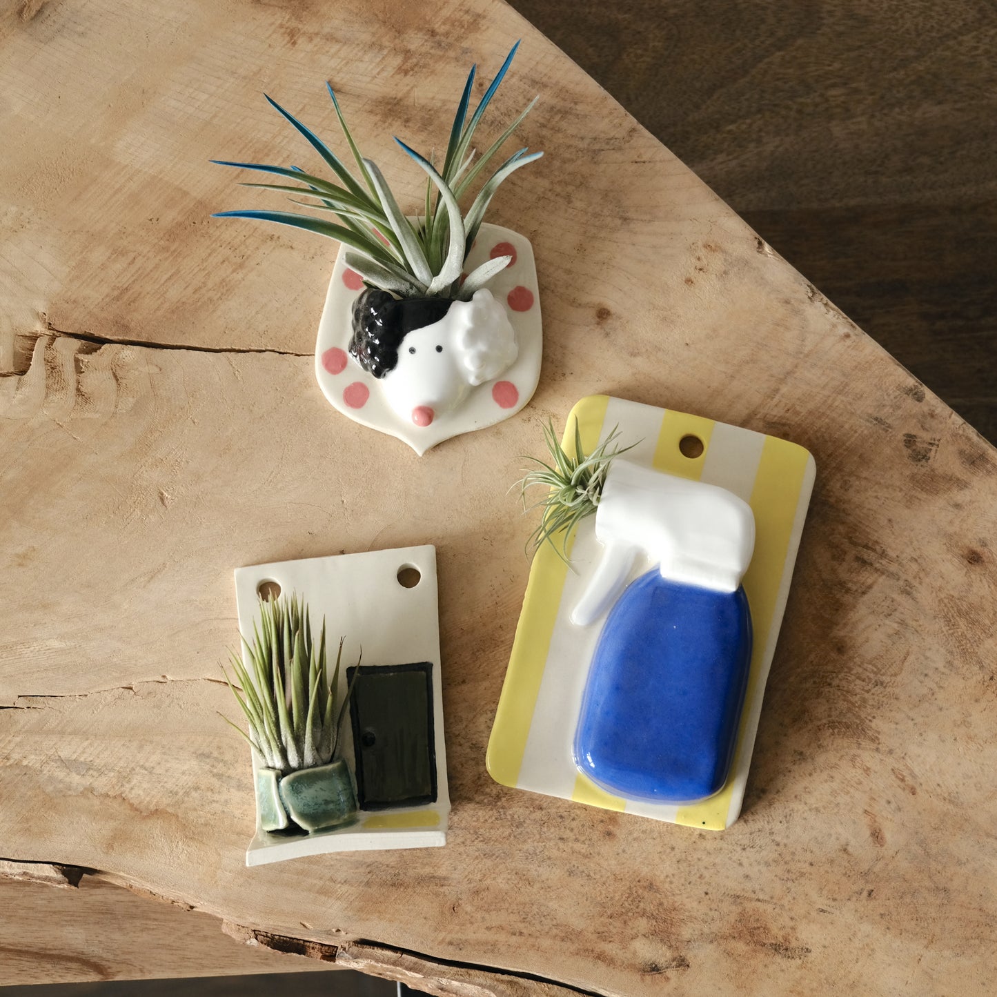 Workshop: Air Plant Holders (Oct 4, 10am-12:30pm)