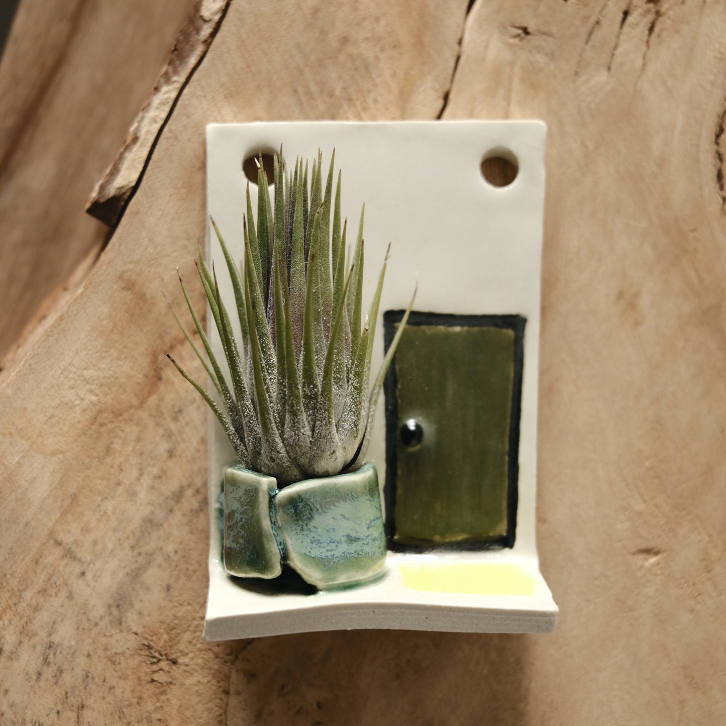 Workshop: Air Plant Holders (Oct 4, 10am-12:30pm)