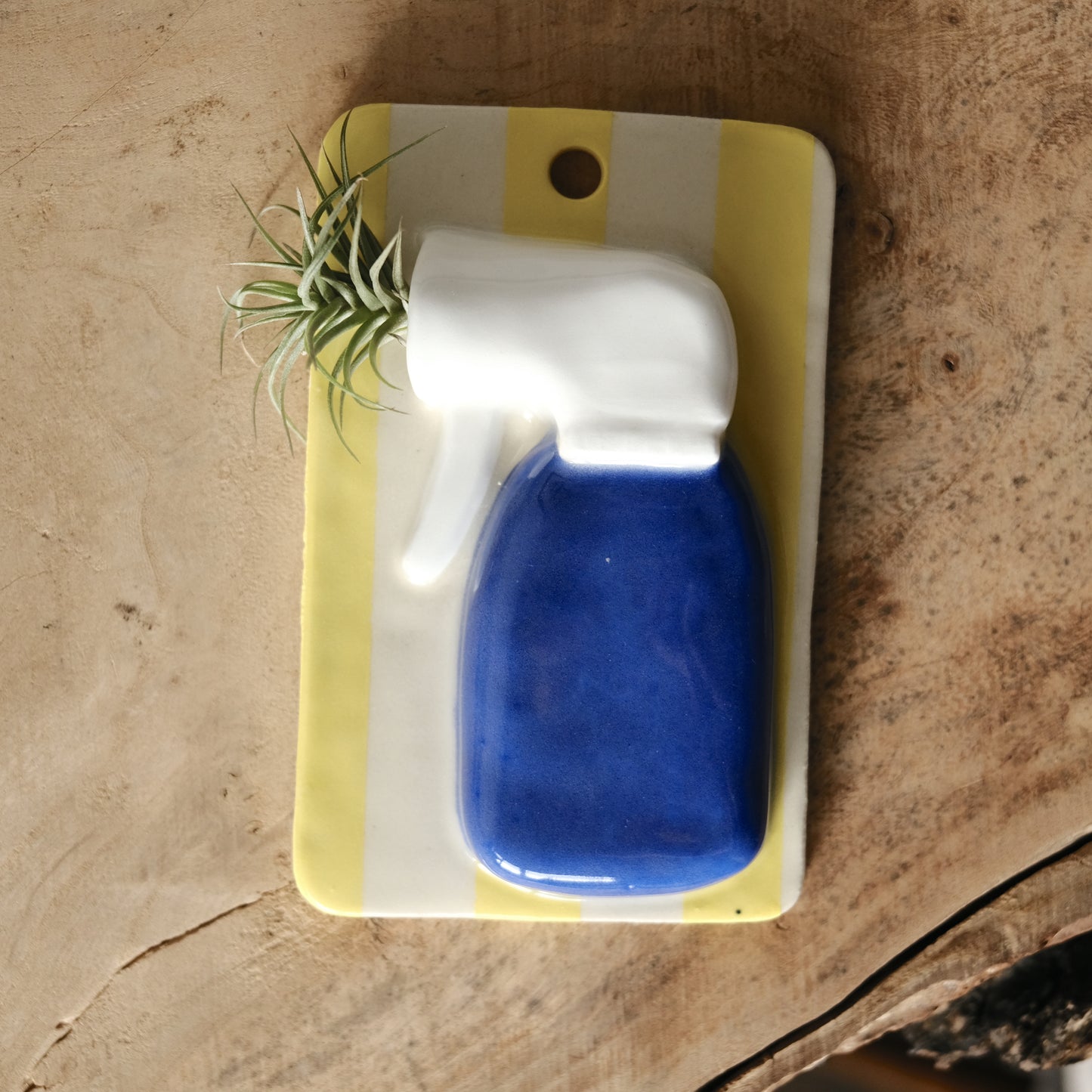 Workshop: Air Plant Holders (Oct 4, 10am-12:30pm)