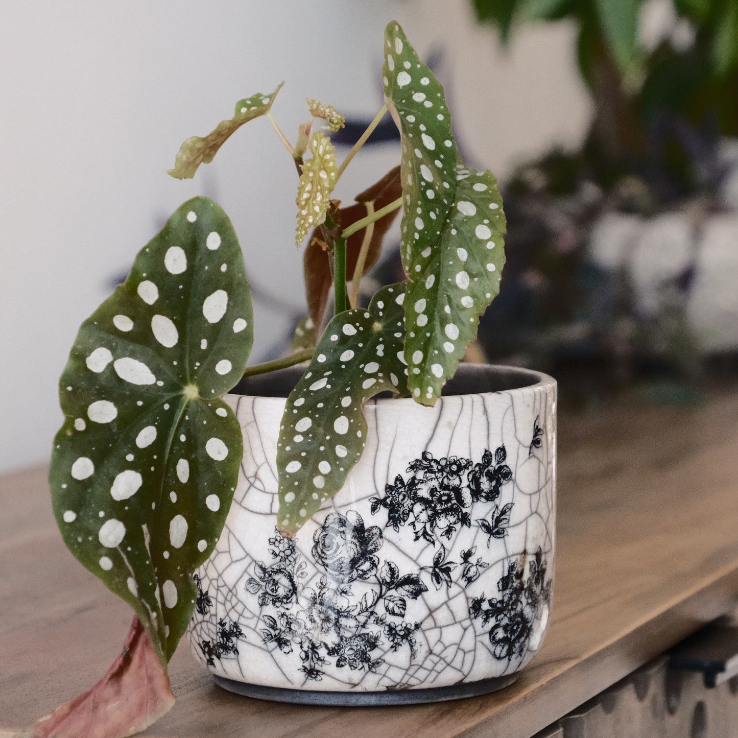 Floral Planter
