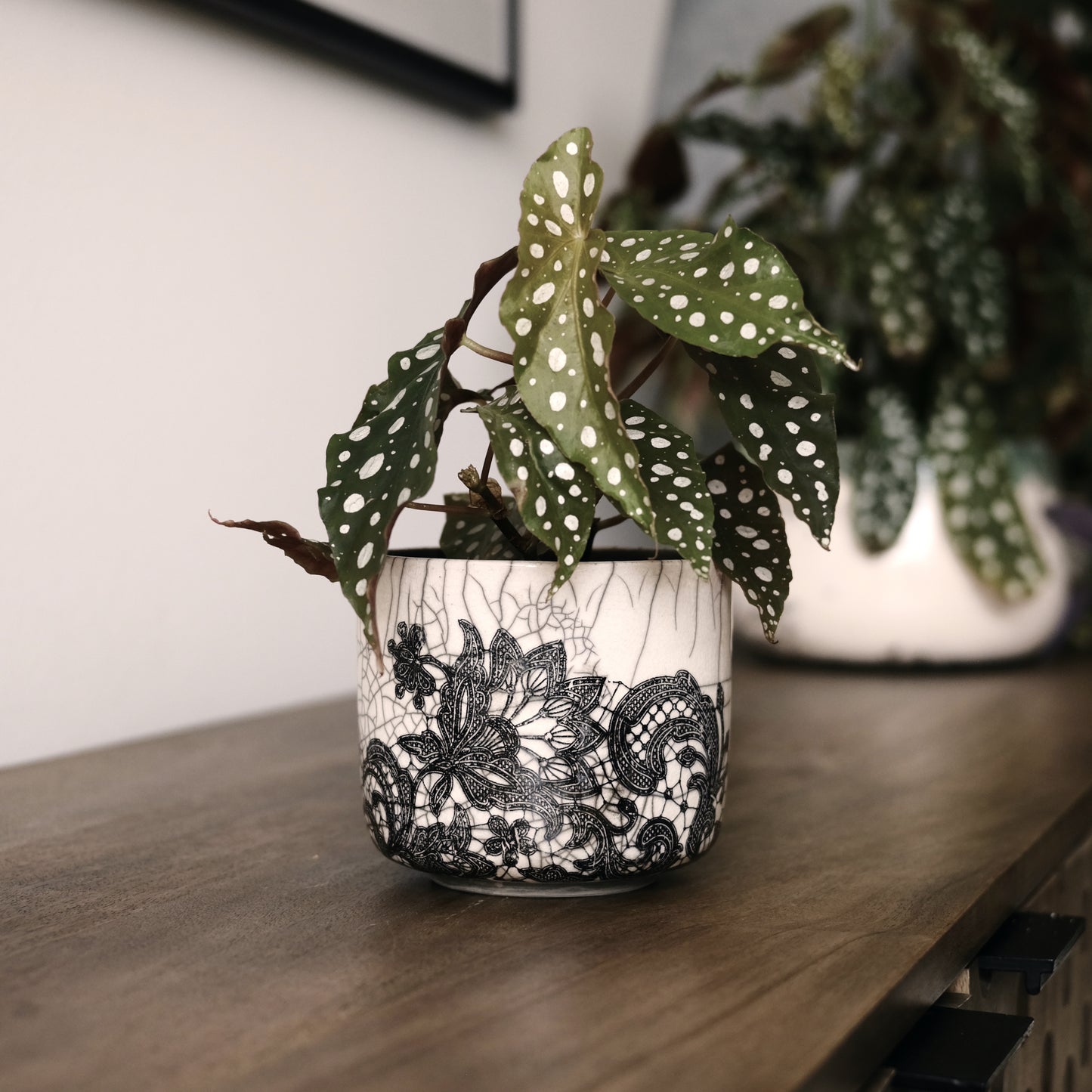 Lacy Planter Small