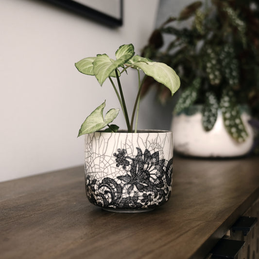 Lacy Planter Small